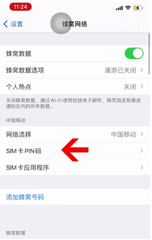 长泰苹果14维修网分享如何给iPhone14的SIM卡设置密码 