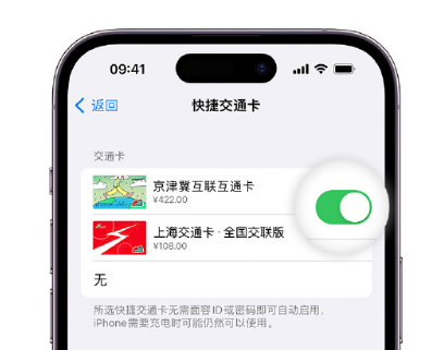 长泰apple维修点分享iPhone上更换Apple Pay快捷交通卡手绘卡面 