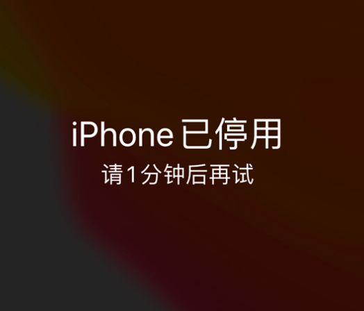 长泰苹果手机维修分享:iPhone 显示“不可用”或“已停用”怎么办？还能保留数据吗？ 