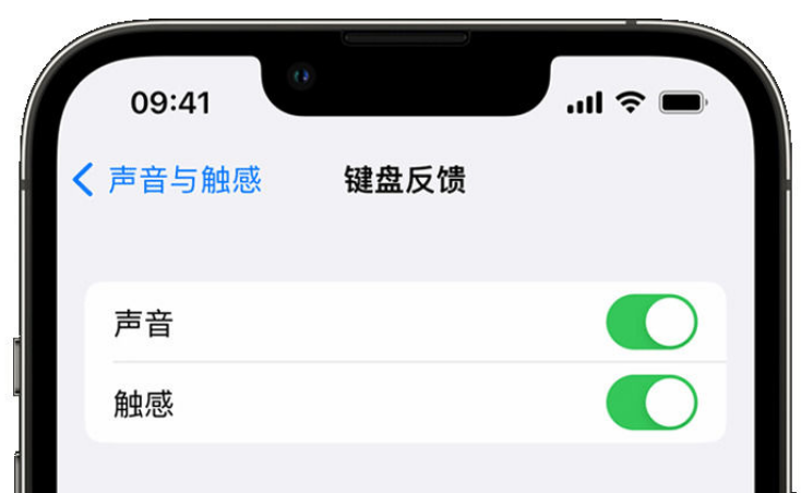 长泰苹果手机维修分享iPhone 14触感键盘使用方法 