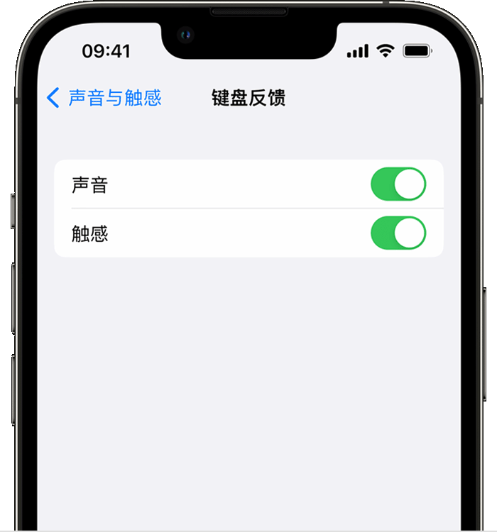 长泰苹果14维修店分享如何在 iPhone 14 机型中使用触感键盘 