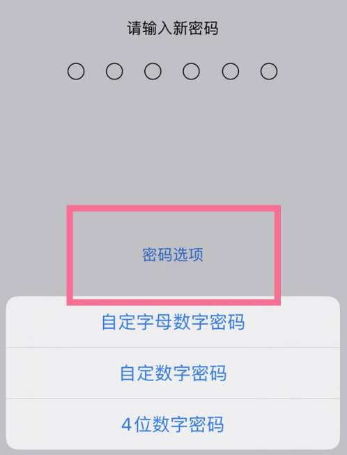 长泰苹果14维修分享iPhone 14plus设置密码的方法 