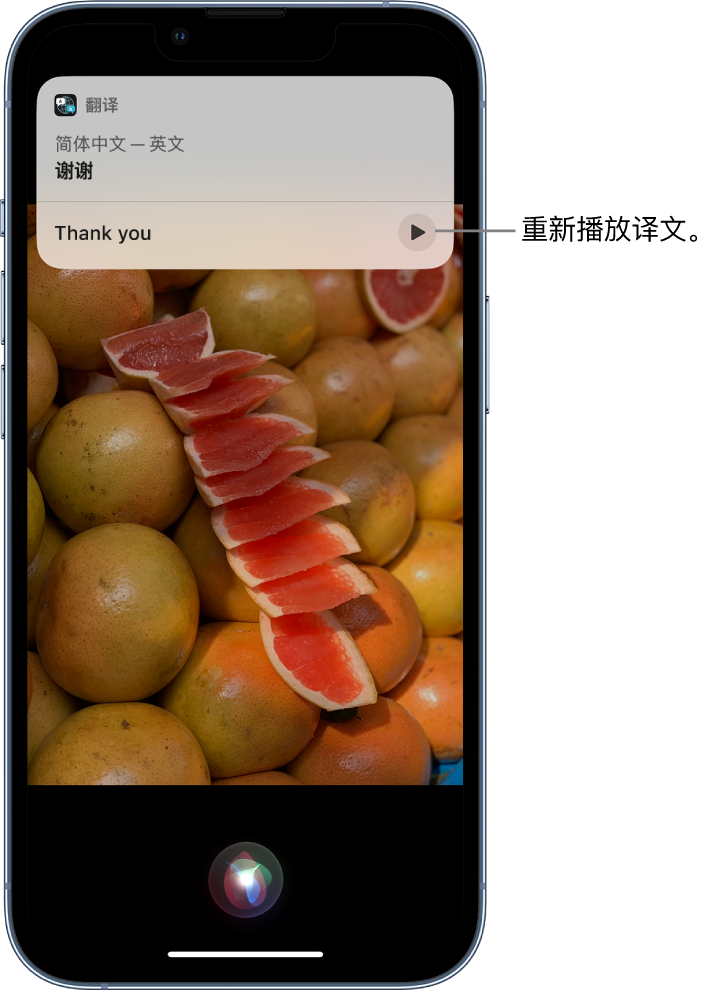 长泰苹果14维修分享 iPhone 14 机型中使用 Siri：了解 Siri 能帮你做什么 