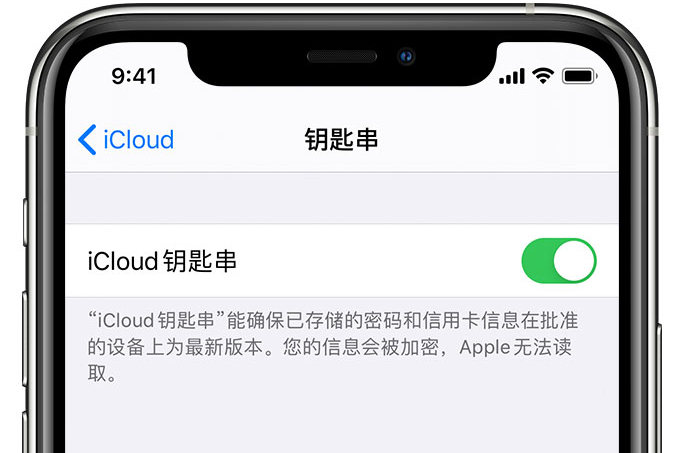 长泰苹果手机维修分享在 iPhone 上开启 iCloud 钥匙串之后会储存哪些信息 